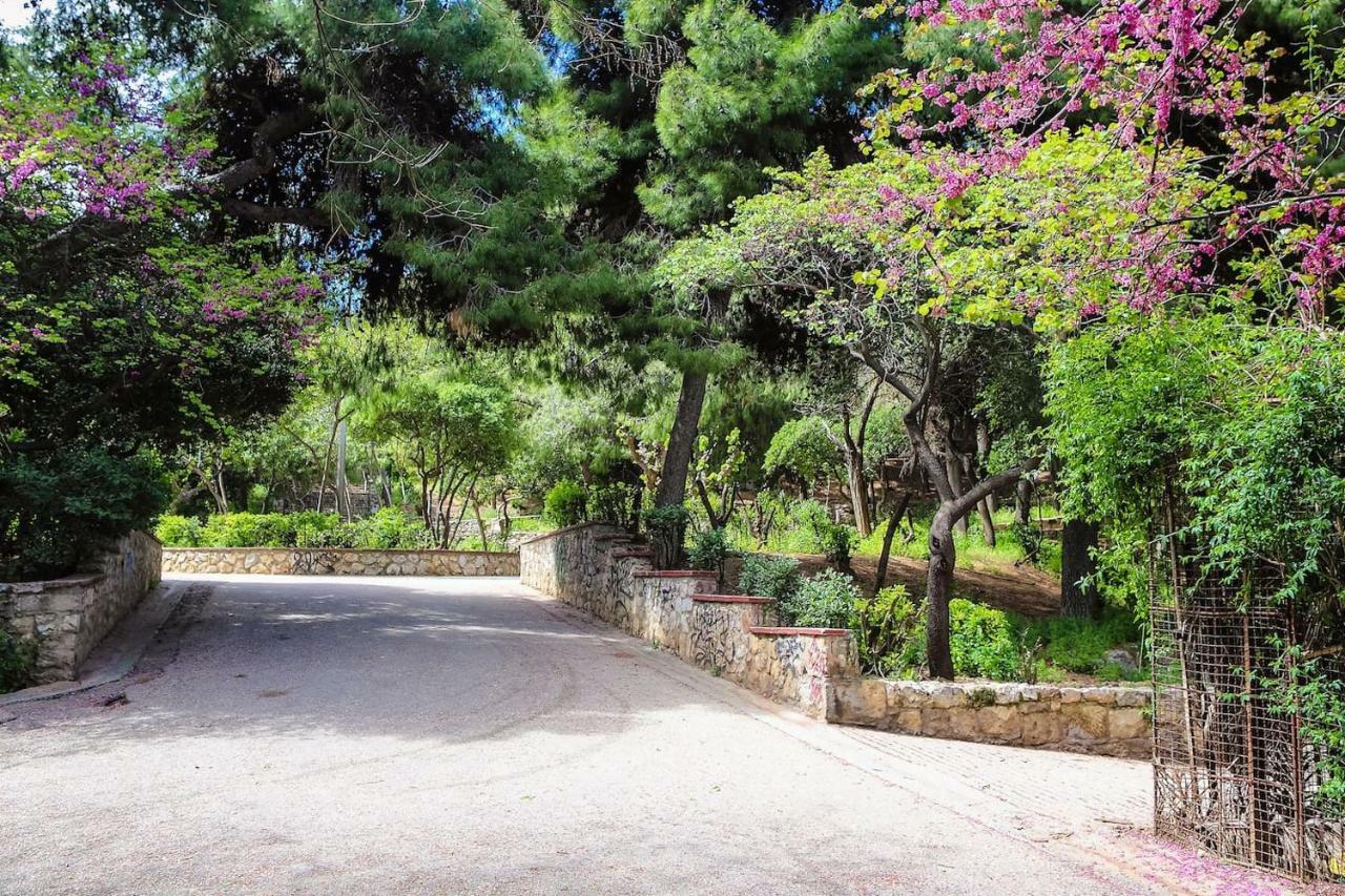 Charming Apartment Near Panathenaic Stadium Buitenkant foto